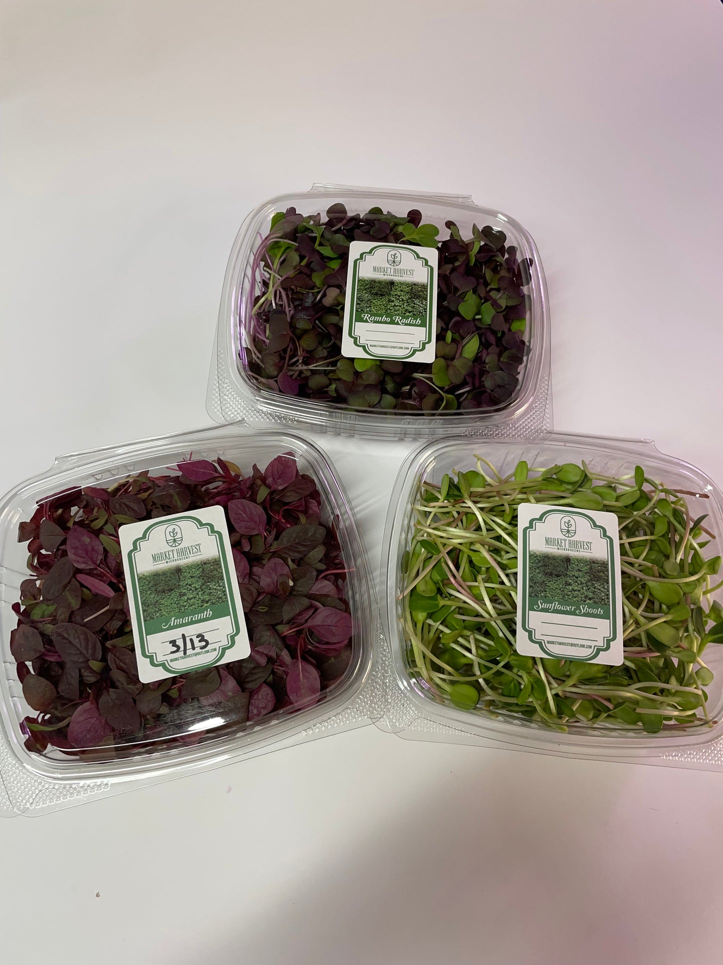 Sunflower, Rambo Radish, Amaranth, Monthly Subscription